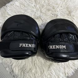 Boxing Mitts Phenom AP- 5