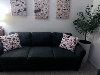 Couch with tree and pillows