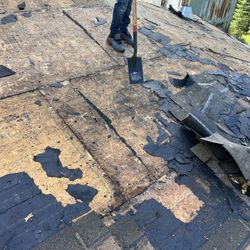 Roof Replacement