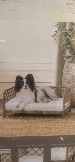 Rattan Pet Bed with Cushion