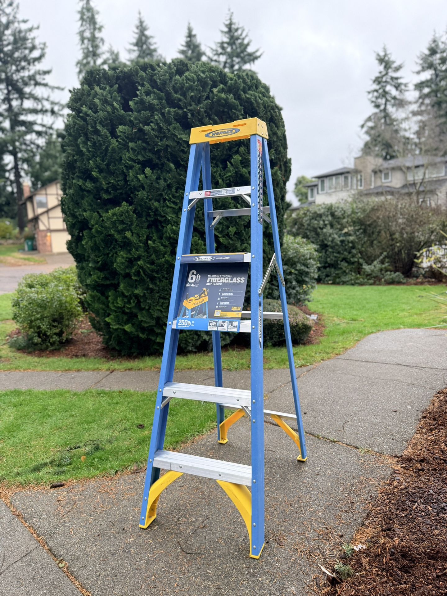 Werner fiberglass 6ft ladder 250 lbs - Brand New never use