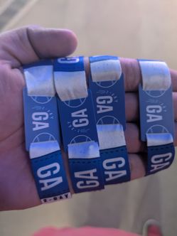 4 General admission for extra innings festival Saturday
