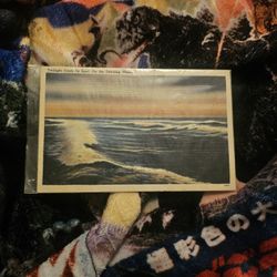 Ocean Waves Vintage Postcard 