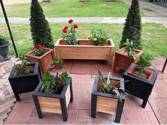 Cedar planters