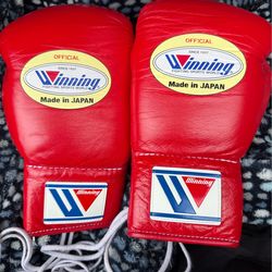 Winning boxing gloves