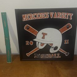 Mercedes Tigers Frame 