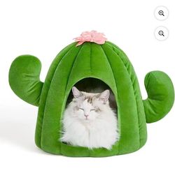 Cat Dog House