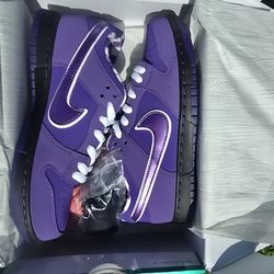 Nike SB Purple Lobster