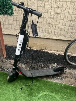Bird Electric Scooter with Charger