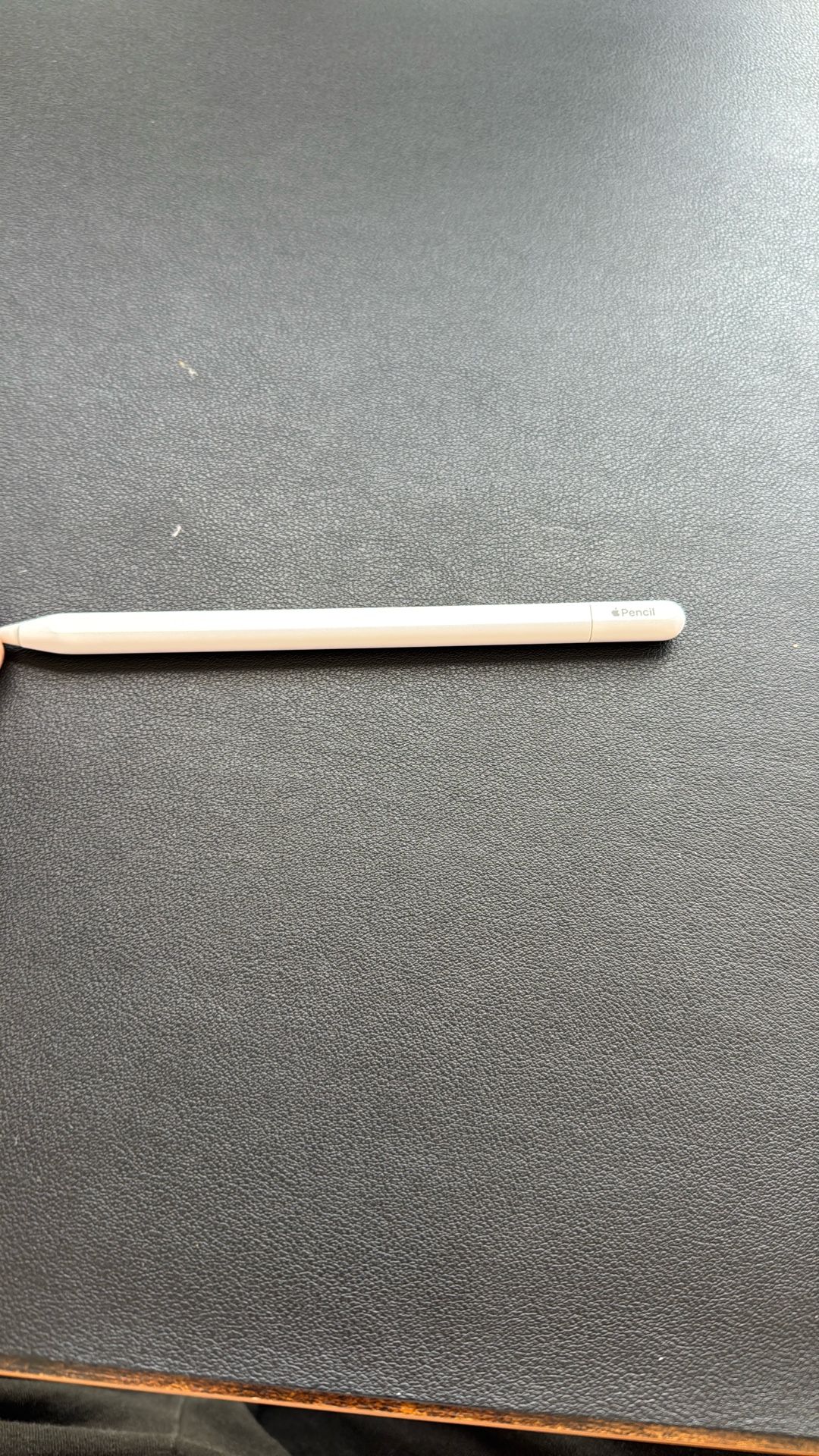 Apple Pencil USB-C