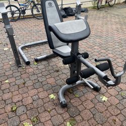 Bench Platinum Gold’s Gym