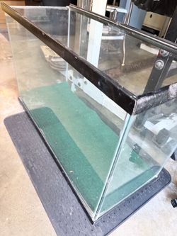 Free reptile tank