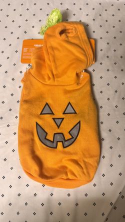 pumpkin costume for small dog