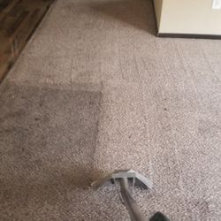Carpet Cleaner 