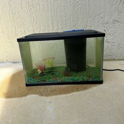 Fish Tank