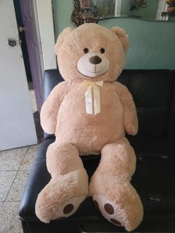 Bonito oso  🐻 grande