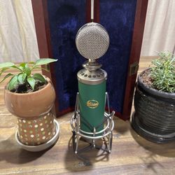 Blue Kiwi Microphone