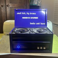 Custom Speaker Boxes 