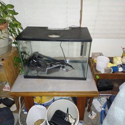 Fish Tank