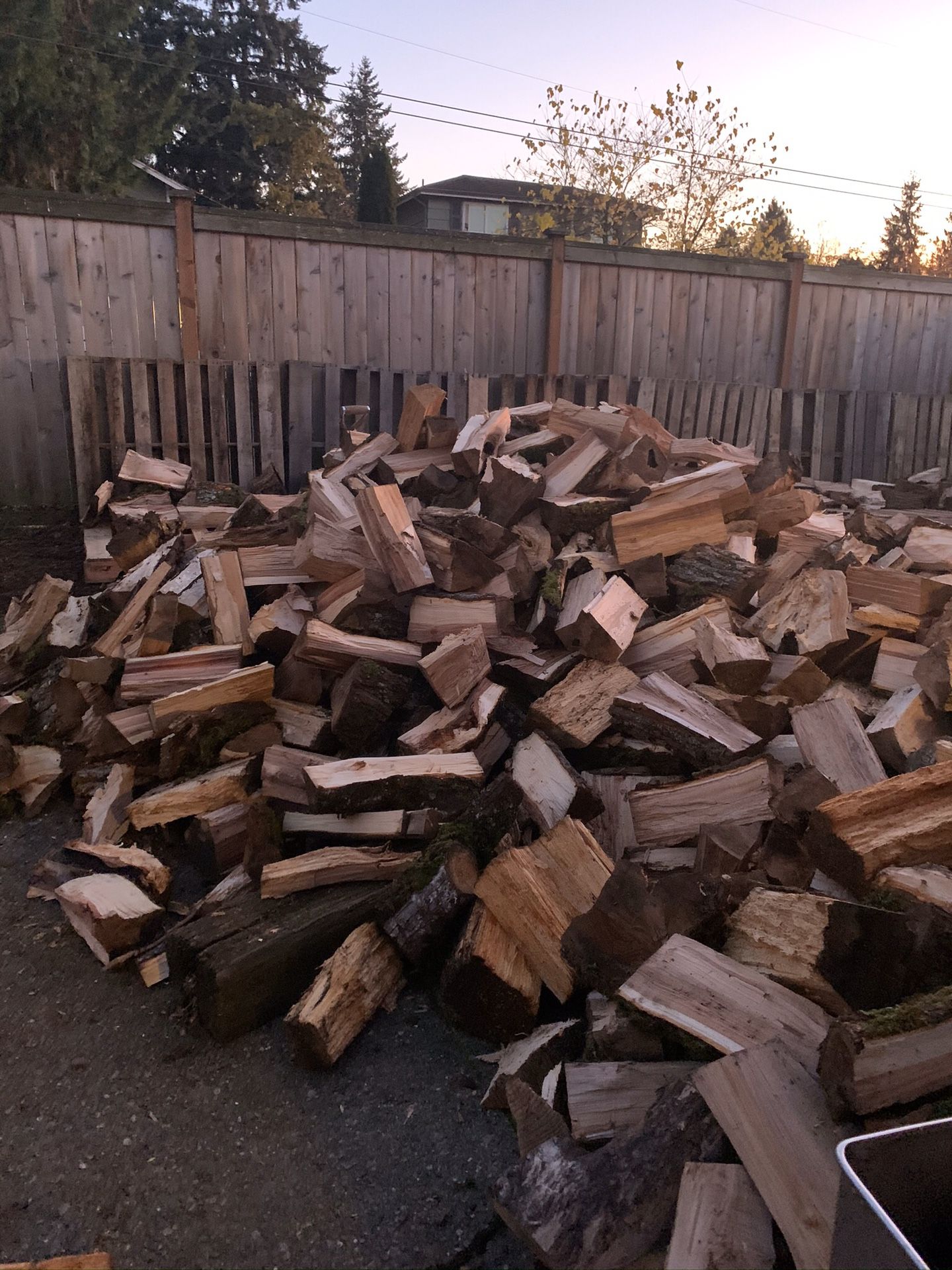 Maple Wood for Sale, Seasoned and Ready to Burn!