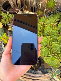 Apple iPhone 12 (64 GB)