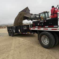 Dump Trailer / Mini Excavator 