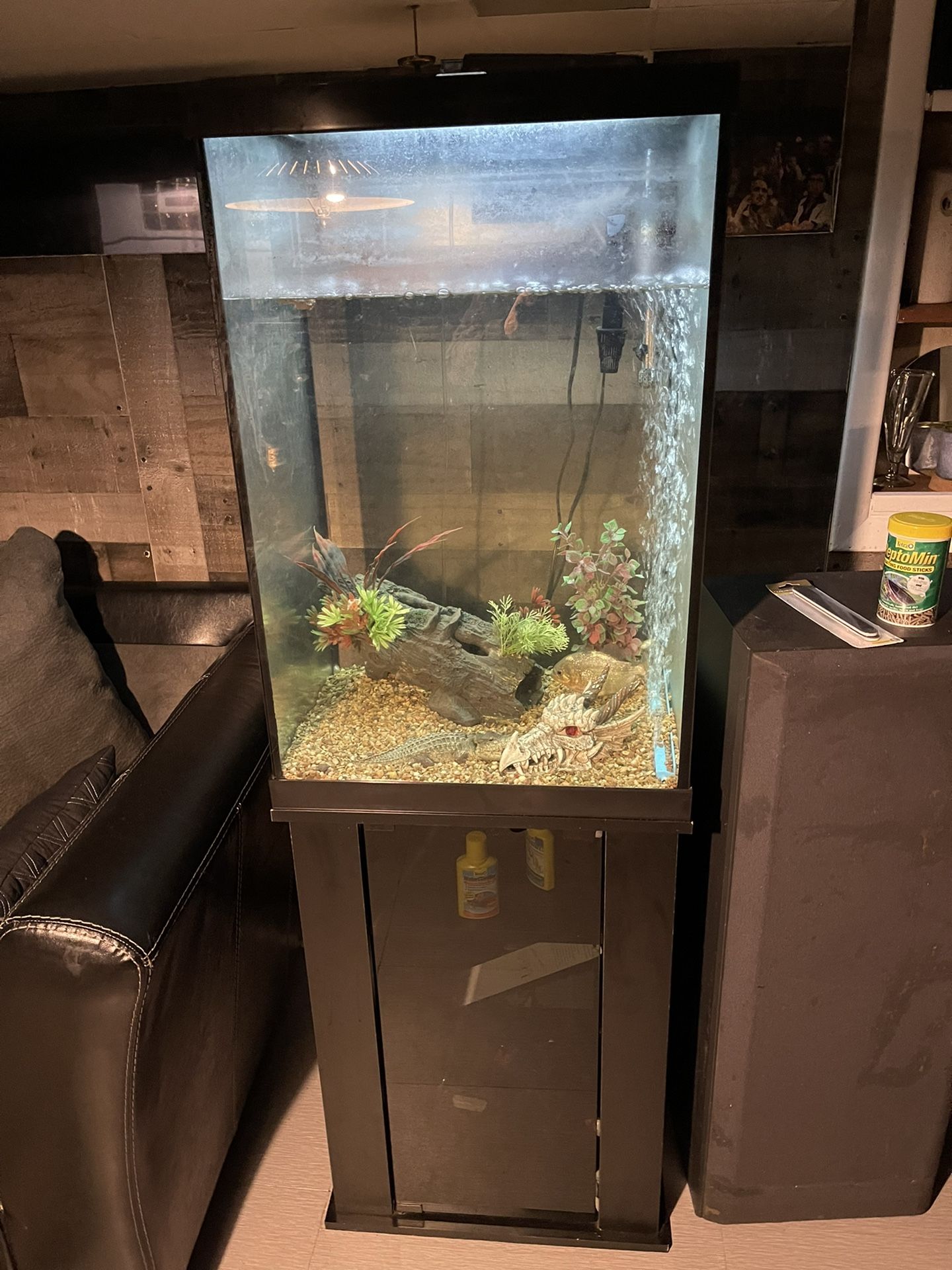 Two 55gallon Corner Fish Tank 
