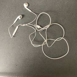 Apple Headphones 