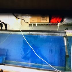 Aquarium 55 g and filter