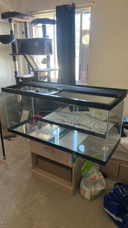 75 gallon glass terrarium w/ imagitarium lid