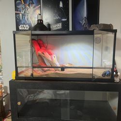 Terrarium habitat 
