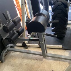 Exercise Glute Ham Developer Machine