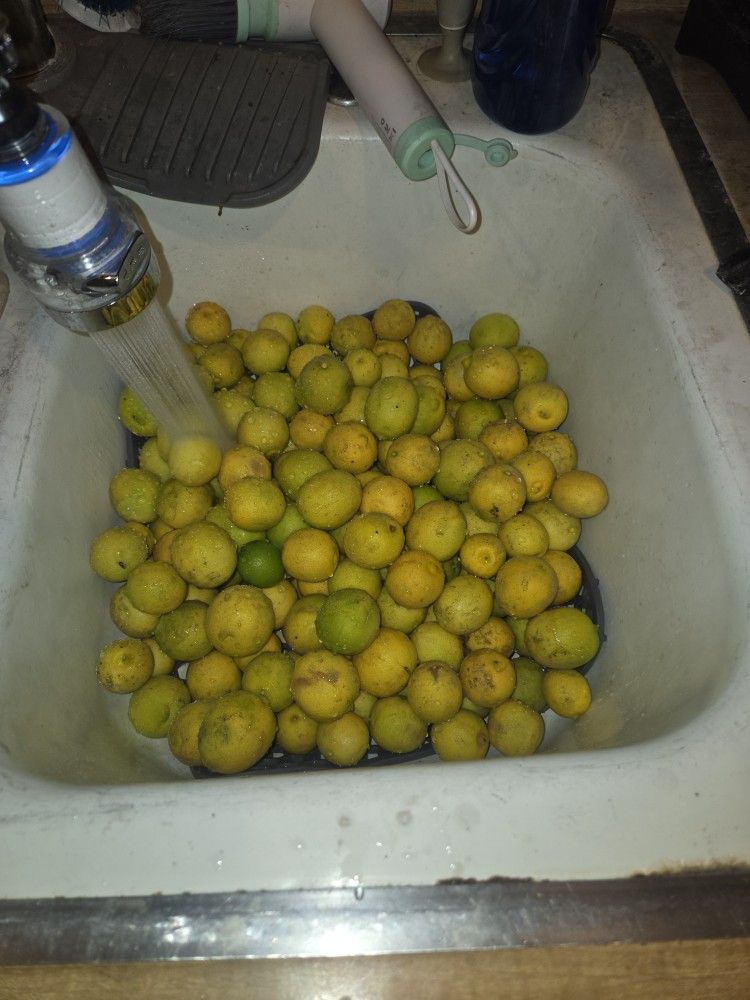 Small Lemons