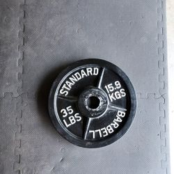 Olympic Weight 35lb Single 