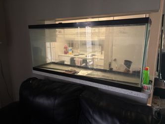 50 gallon fish Tank