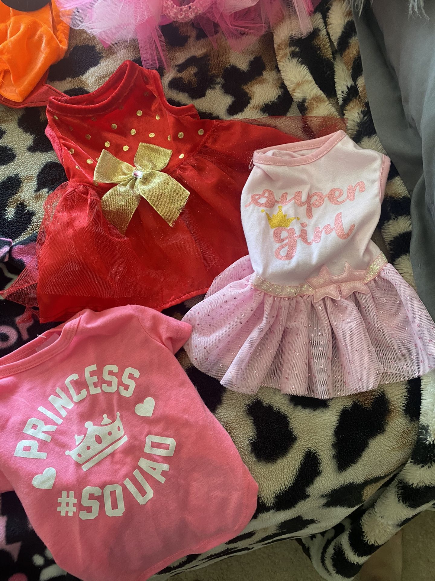 Dog Clothes