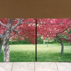 Large Canvas Wall Art