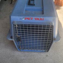 dog kennel 
