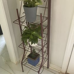 Plant Shelf