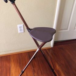 2-in-1 Walking / Folding Stool Mobility Assistance in Copper 200-lb. Weight Capacity Copper