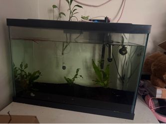 20 gallon tank with heater and filter