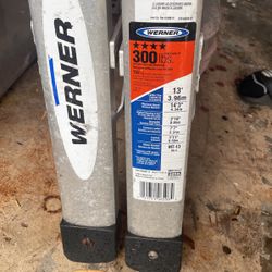 Werner Extendable Ladder 300lb