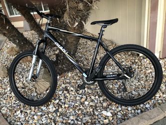 Giant rincon disc outlet