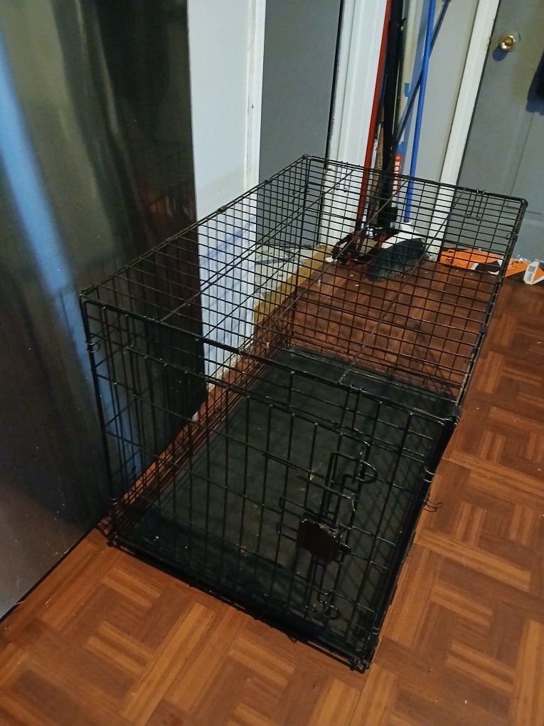 Huge Dog Cage 3 Feet By 2 Feet 22" W