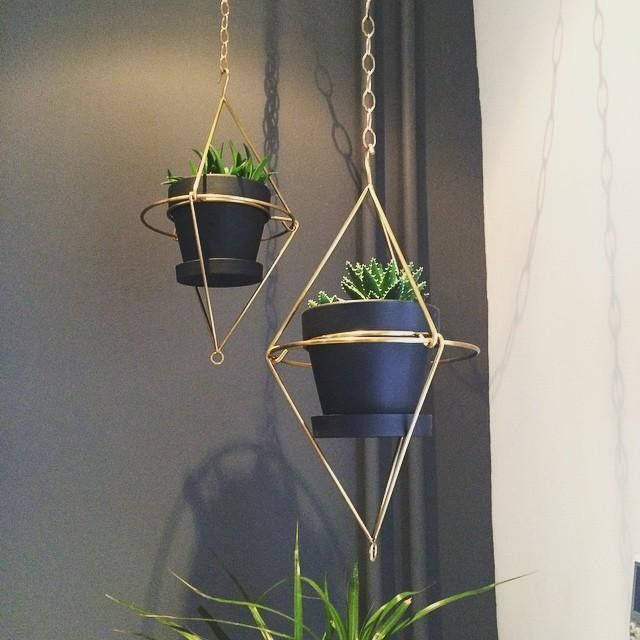(2x) West Elm - Hanging Wire Pot Bracket - Plated Brass