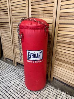 Everlast Punching Bag