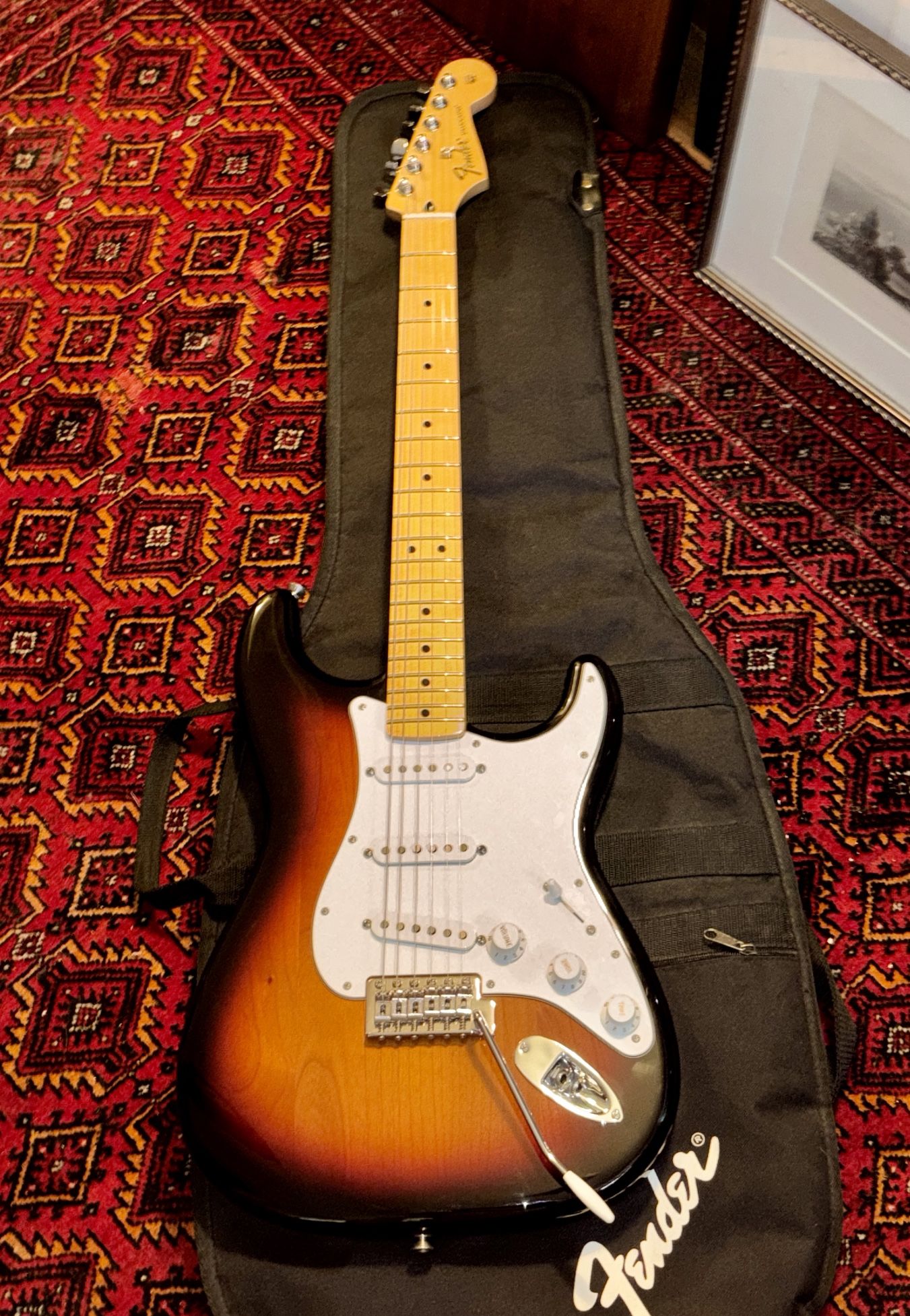 Fender Stratocaster 2019 MIM W/bag