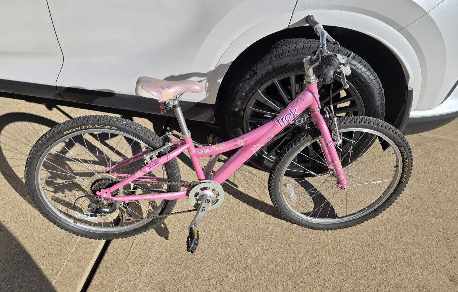 Trek Bike