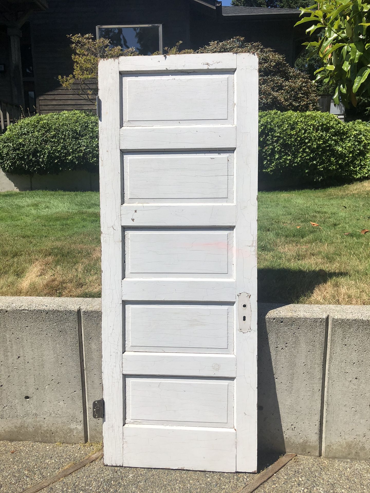 Solid Wood Door