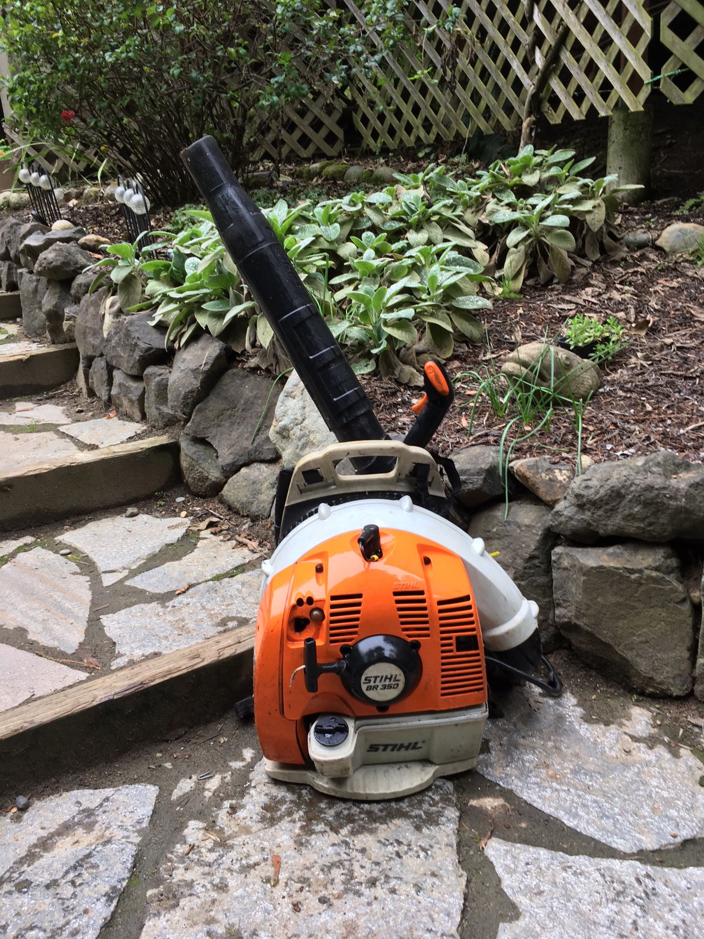 Stihl br-350 Leaf Blower